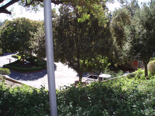 P1010354