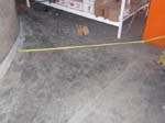 P1010582