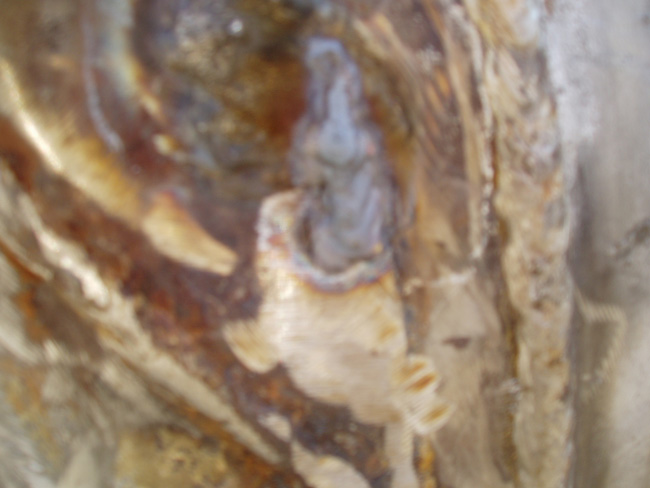 P3310111