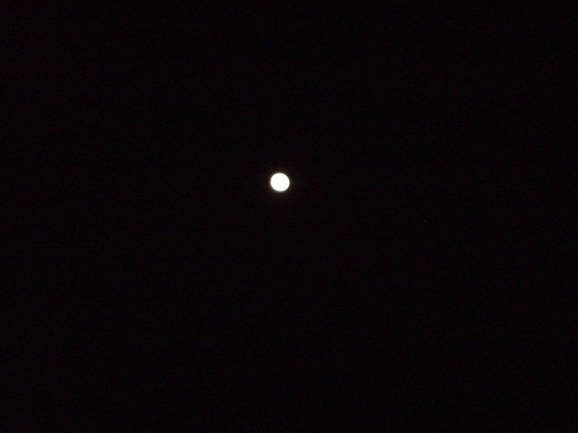 P1010083