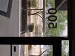P1010190